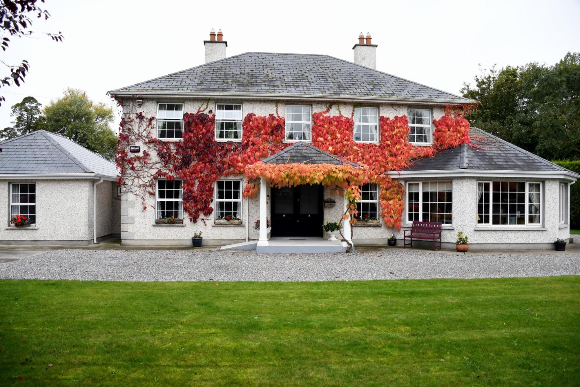Orchard Grove Bed & Breakfast R21Rc58 Bagenalstown Zewnętrze zdjęcie