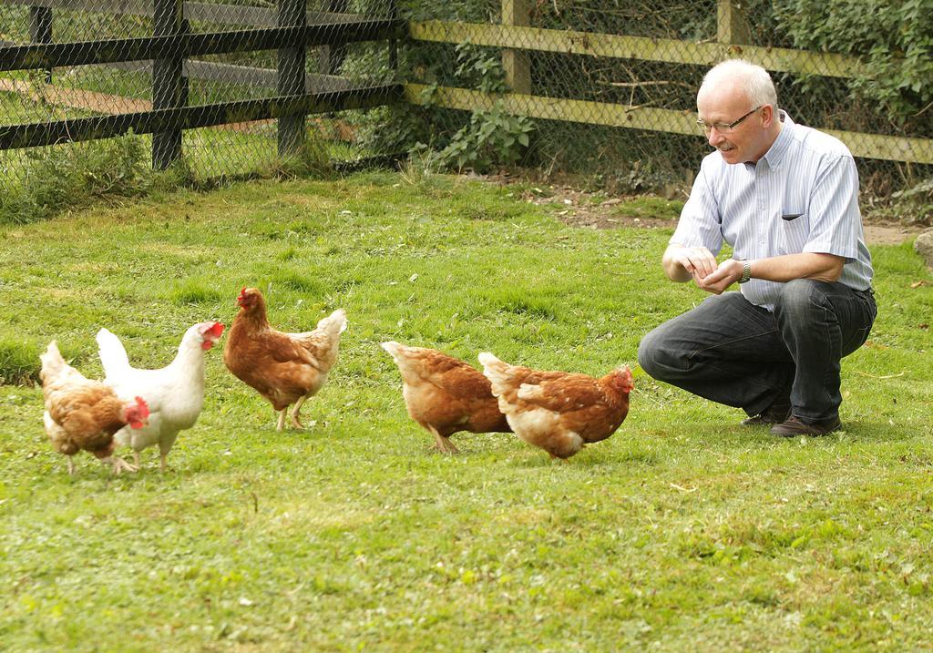 Orchard Grove Bed & Breakfast R21Rc58 Bagenalstown Zewnętrze zdjęcie