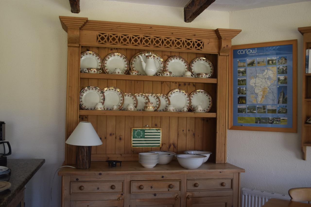 Orchard Grove Bed & Breakfast R21Rc58 Bagenalstown Zewnętrze zdjęcie