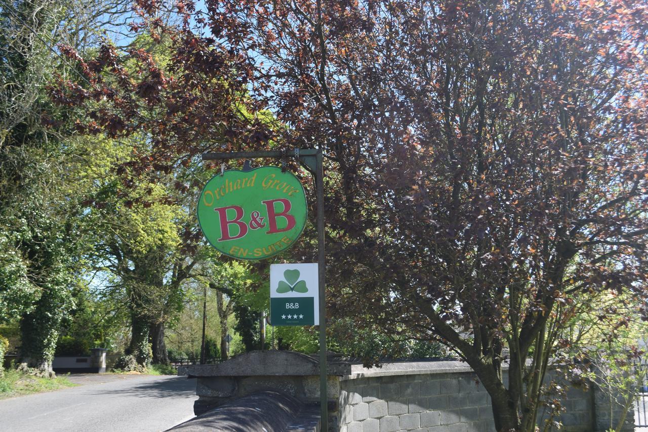 Orchard Grove Bed & Breakfast R21Rc58 Bagenalstown Zewnętrze zdjęcie